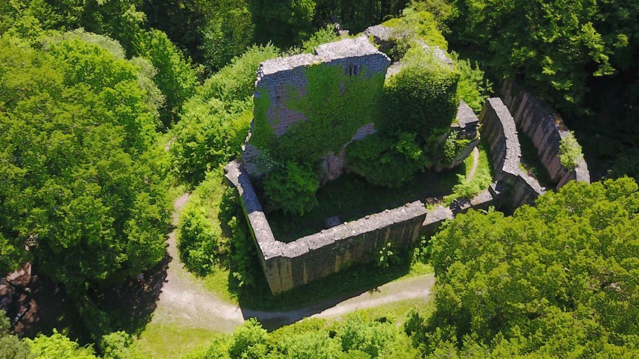 Bungalow Im Schwarzwald Auf Wunderschoenem Anwesen Neubulach Ngoại thất bức ảnh